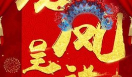 回村过年之龙凤呈祥