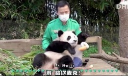 太好了是福宝，我们有救了,福宝降临！我们终于有救了！