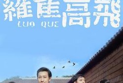 罗雀高飞,探寻鸟类迁徙的奥秘与智慧