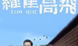 罗雀高飞,探寻鸟类迁徙的奥秘与智慧