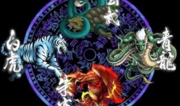 四大神兽外传,神秘力量的觉醒之旅