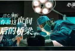 心灵法医,心灵法医生的疗愈之道