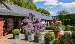 园艺大师,探索绿色生活的艺术与科学