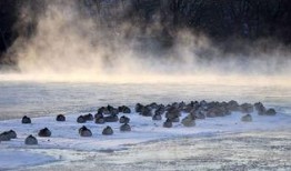 极地寒流,揭秘地球北极的神秘力量