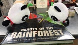 巴西奇遇记,穿越南美秘境的奇幻之旅