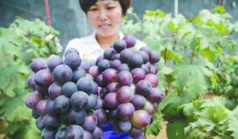 温室学院 第一季