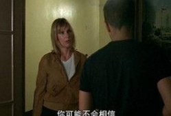 秘密防御（国语版）,揭秘国家安全背后的神秘力量