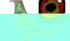 千禧年时代炸弹,揭秘21世纪的定时危机