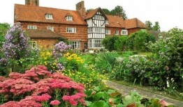 园艺大师,探索绿色生活的艺术与科学