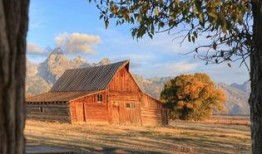 归途望乡,穿越时空的乡愁之旅