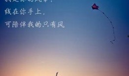 始于心动，终于心痛,情感旅程的起落