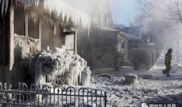 极地寒流,揭秘地球北极的神秘力量