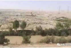 晚春不晚,捕捉春日余晖的美好时光