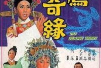 双凤奇缘,穿越时空的传奇爱情