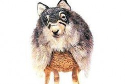 披着狼皮的羊,揭秘伪装下的真实面目