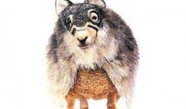 披着狼皮的羊,揭秘伪装下的真实面目