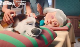 萌宠流浪记（国语版）,温馨治愈的宠物成长之旅