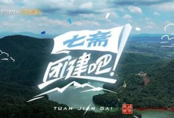 团建吧！七斋,共创团队凝聚力新篇章