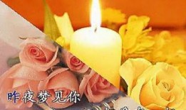 昨夜梦到你,与你共度时光