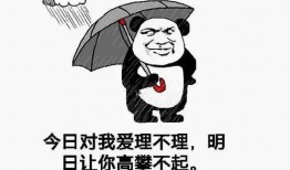 终于!等到让你高攀不起,巅峰时刻！见证你无法触及的荣耀巅峰